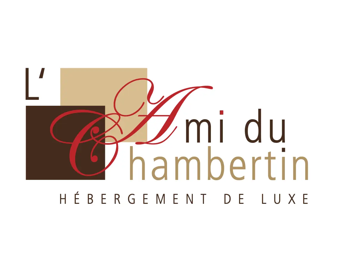 agence web liège